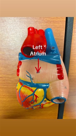 Dr.DD (@otanatomyyork)’s videos with nintendo wii (mii channel) song - julie on the internet