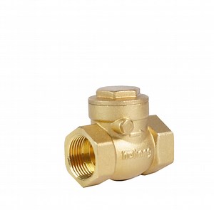 [Hot Item] High-Quality Brass Non-Return Valve for Efficient Water Use