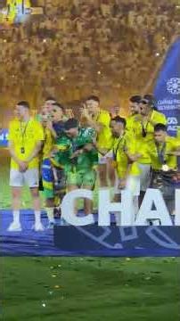 A special moment. From a special angle. 🏆 💙💛