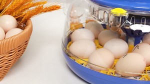 18 Egg Incubators for Hatching Eggs, 360° View with Automatic Egg Turning & Humidity Control, Built-in Egg Candler for Hatching Chicken, Duck, Goose, Quail, Ideal for Home, Classroom, Laboratory, Farm