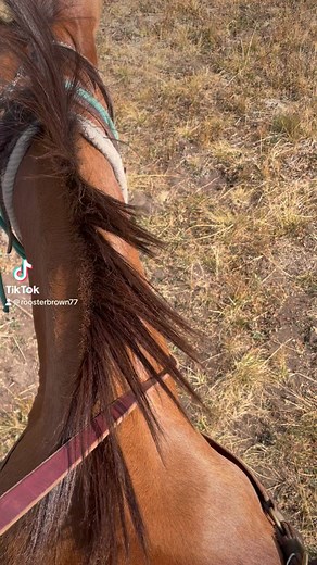 Wind River Backcountry Outfitters, LLC. Bg-304 on Reels