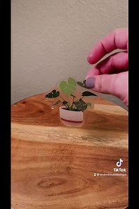 Strawberry Lemonade Sticker - Dishwasher Safe, Durable, Homemade, Vinyl, Laptop and Water Bottle Sticker, Summer, Gift Idea, Decal, Refresh - Etsy UK