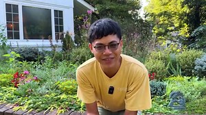 2.5K views · 278 reactions | Dividing, Transplanting Bearded Iris Plants | Cranery Gardens | Facebook