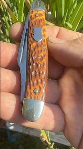 Beautiful Kline tools stockman and some green onions baby