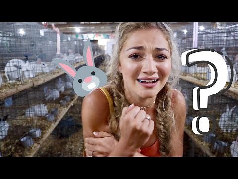 SCARY... bunnies? | County Fair Vlog