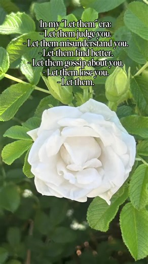 branens318 on TikTok