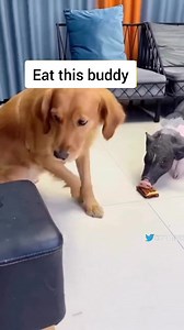 5.4K views · 156 reactions | Sharing is caring... | Have Courage and Be Kind | Facebook