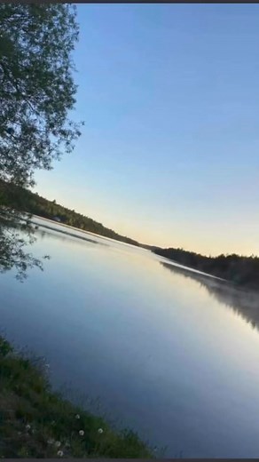 3.1K views · 25 reactions | Vikki’s Dream cabin rentals/trailer park...