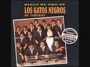 39K views · 585 reactions | Los gatos negros Carmenza No tenemos Los derechos del autor Recuerdos musicales | Recuerdos Musicales | Facebook