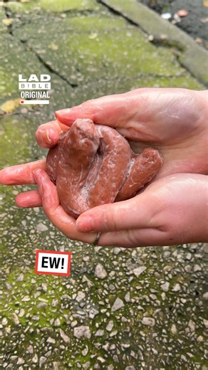 Who knew poop could be so clean?🤨💩 | LADbible