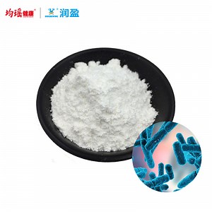 [Hot Item] Paracaseibalance - Harmonizing Gut Health with Lactobacillus Paracasei (400 billion CFU/g)