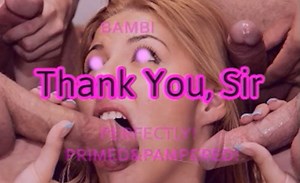 Bambi Sleep Primed And Pampered