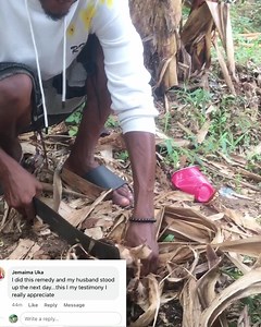 More explanation on plantain decayed root #viral #everyone #spirituality #trending | De philosophy page