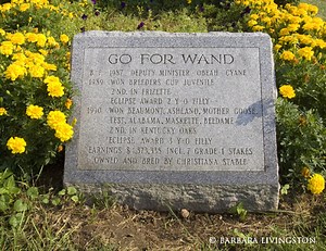 Go For Wand