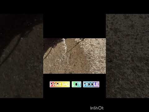 Winter Wee Compilation