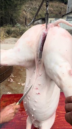 Expert Butcher Beef Cutting Skills Best Cutting Techniques #shorts