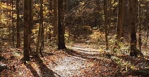 Video by Kelly on Pexels