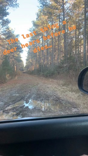 Yall didnt hear it from me 😬 😅#screammovie #hunting #virginia #deer #fishing #outdoors #IntuitTouchdownDance #yellowstonetv #chevy #fyp