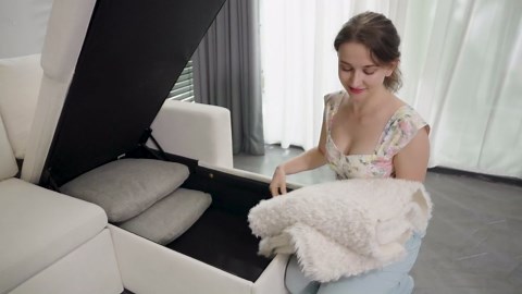 Sleeper Sofa Bed, 110 inch Oversize - 2 in 1 Pull-Out Convertible Sofa Bed, Lounge Soft Futon Sofa with Double Storage Chaise, Chenille sectional couches for Living Room/Office/Apartment, Beige