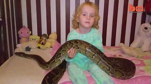 El impactante video de una bebé jugando con una serpiente pitón
