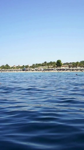 #marsaalam #utopiabeachclub #SeaViewParadise #vacationmode | Utopia Beach Club