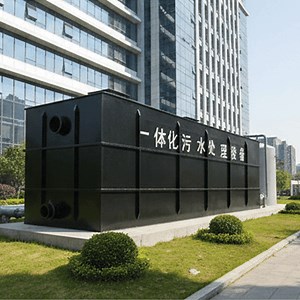 [Hot Item] Innovative Mbr Sewage Management System for Agricultural Applications