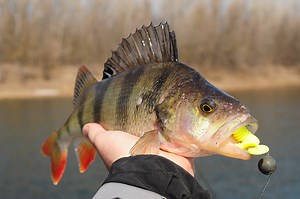 stepoutside.org - Coming Soon