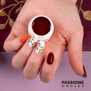 5.7K views · 102 reactions | Autumn in New York: les tonalités chaudes des gels couleurs Dama et Marsala inspirent un Nail Art à la saveur automnale. Romantique comme une balade sous les arbres de Central Park! Découvre tous les produits utilisés: bit.ly/3pDrf72 | Passione Beauty France | Facebook