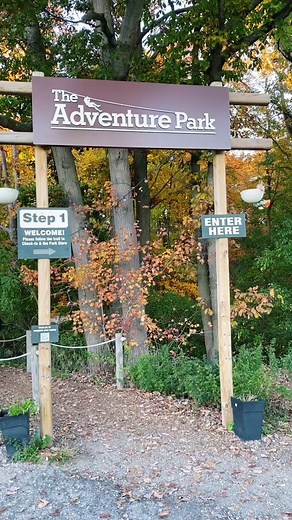 Exploring Long Island Adventure Park: Ziplines, Jungle Gyms, and More!