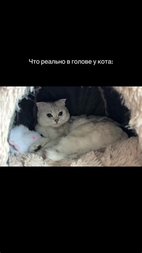 musina.muah on TikTok