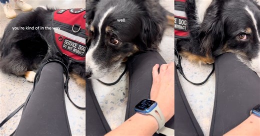 ‘You’re harassing a girl with a service dog.’ – JCPenney Customer Has A Medical Episode At The Store And A Fellow Shopper Starts Questioning Her Condition