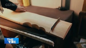 For Chinese guqin maker Wang Chengchun, each piece of wood is taken from an old house. “Its quality may actually be improved as a result of all these termite holes. Usually, wood contains a lot of sugar and glue, which impedes the vibrations. But when the insects eat all that, the vibrations in the wood are more rounded,” he explained. #TheVibe | China Plus Culture