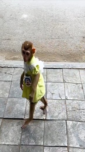 28 reactions | Monkey Kaka helps mom buy baby shower gel for baby...