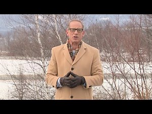 Talkback Feedback: Compliments