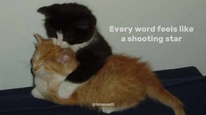 Terrifíed, Katharine McPhee | Stressed