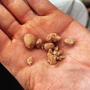 41 reactions | Some little nugs from one of the scrapes today!...