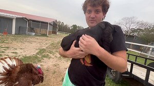 Hero gives Meg a massage! | Flip-flop Farmer