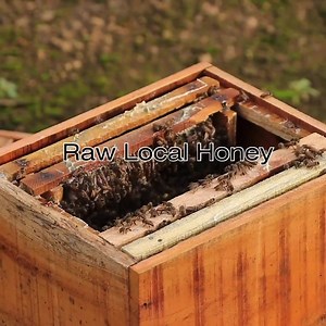 🍯Hive to table! Buzz by our store or website! . . .⁣ #rawlocalhoney #beezybeezhoney #BeeRemoval #localbeekeeper #rawhoney #savethebees #infusedhoney #StatenIsland #HoneyBeeHives #BeeKeeping #smallbusiness #ShopLocal #Health #Wellness #Homeopathic | Beezy Beez honey.