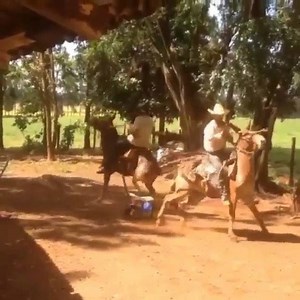 STRANGER DANGER Made In Rodeio #rodeo #rodeowrecks | Rodeo Wrecks