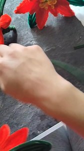 6K views · 81 reactions | Tutorial de nochebuena de limpiapipas | Luz Velazquez | Facebook