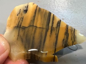 Royal Peacock Dendritic Opal Slab: Lapidary Gemstone for Jewelry - Etsy