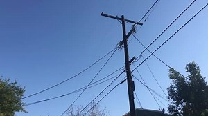 20K views · 961 reactions | Uber | Brandon Calvillo | Facebook