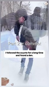 103K views · 950 reactions | FULL VIDEO HERE: https://filmebdn.vansonnguyen.com/19648/21/ P2101002 From fear to safety in one moment (Part 1) | Perfect Movie | Facebook