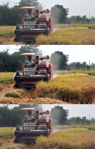 Lovol RG 102 EVO || Best Harvester