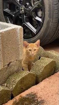 Day off 🤍 coffee, walk, exercise and journaling to manifest ✨ #routine