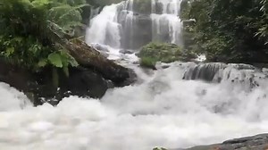 19 reactions | Have you hiked to Long Creek Falls yet? Click our link for directions. visitoconeesc.com  @kparlettracing | Visit Oconee SC - Oconee County, South Carolina | Facebook