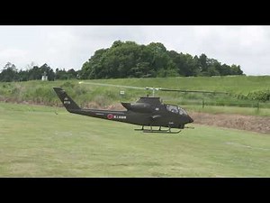 COBRA HS-1S EP of KALT