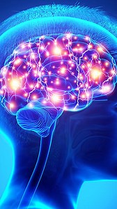 4.6K views · 133 reactions | Researchers have found that a lesser known nervous system in our guts (our "second brain") communicates with the brain in our head. Together, "our two brains" play a key role in certain diseases in our bodies and overall health. | Dr Pal | Facebook