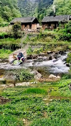 #Primitive Farming Life #Girl in the Mountains #Girl in the Village#I love this yellow land of my hometown #My story with the land #Rural pastoral scenery #Crops in the fields #Walk into the fields and feel the nature #I want to go home and farm#CountrysideVibes #RusticMemories #NatureAndNostalgia #CountrysideChronicles #BackToTheRoots #CountrysideEscape #SimpleLifeInNature #VillageVibes #FarmhouseFeels #RuralRetreat | Memories of the countryside