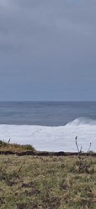42K views · 202 reactions | Baleine au large de la Cayenne (Maeva) Les baleines  ne sont généralement pas soumises aux vigilances fortes houles  de la même manière que les humains, car elles sont adaptées aux conditions marines. Cependant, de fortes houles peuvent affecter leur comportement, notamment en limitant leur visibilité  et leur capacité à se nourrir  ou à se déplacer librement dans certaines zones. | Mon Saint-Jo | Facebook